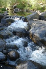 Tumbling Waters, Oak Creek, Forest Houses Resort, Sedona AZ