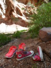 Pink Shoes, Red Rocks. Oak Creek, Sedona AZ